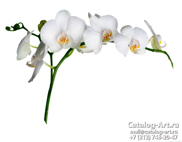Натяжные потолки с фотопечатью - Белые орхидеи 35